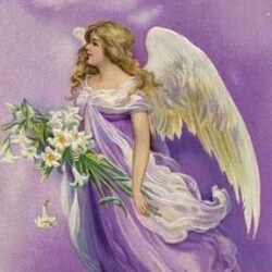Ann R. Lamb
