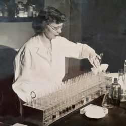 Helen J. Sandlewick