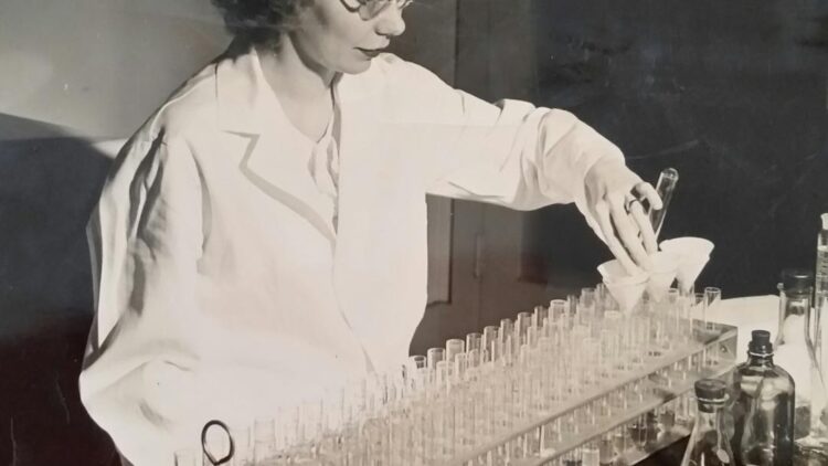 Helen J Sandlewick