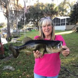 Vicki B Hutchinson