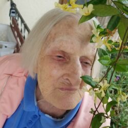 Maria L van der Leek
