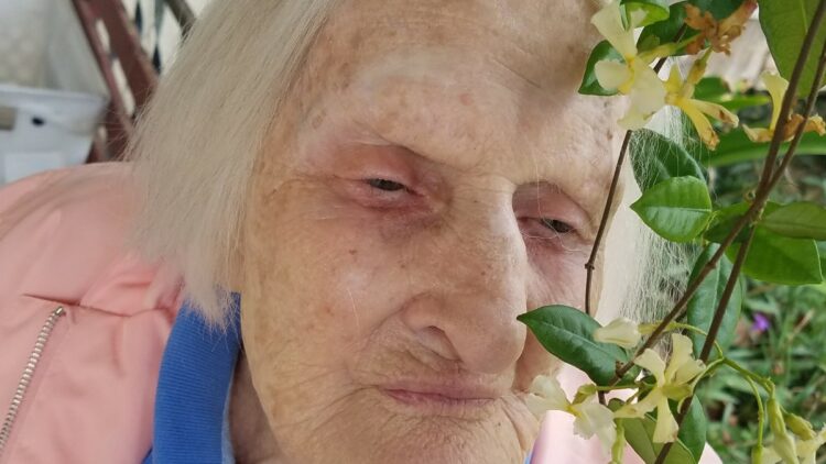 Maria L van der Leek