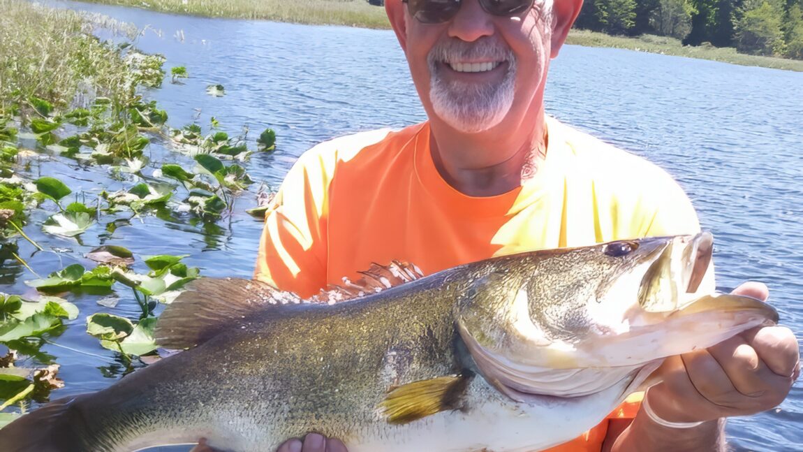 William Nelson Minshall