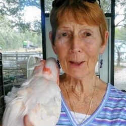 Jacqueline Morrow Strack