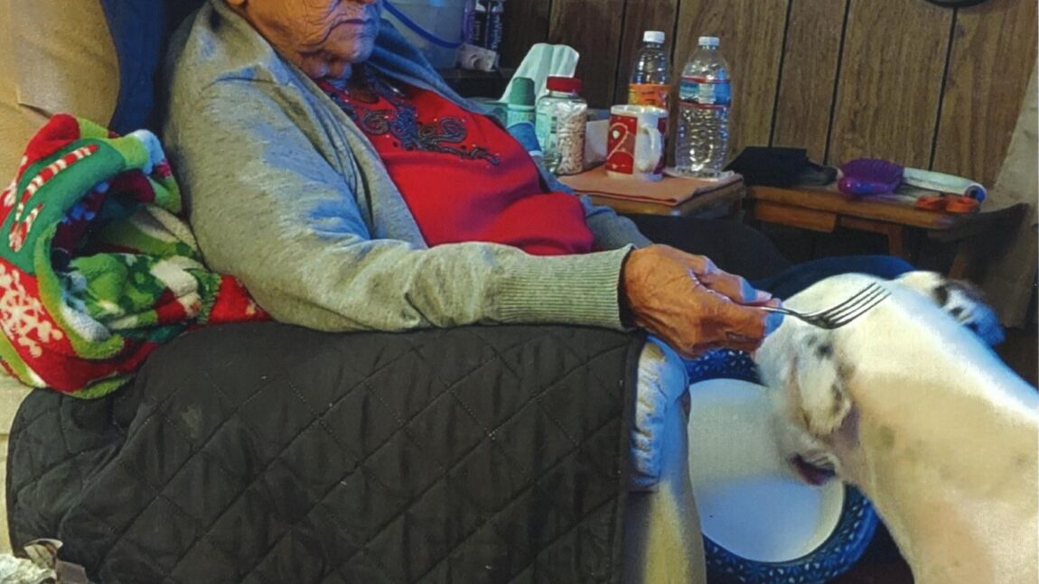 Joanne Elizabeth Nolan