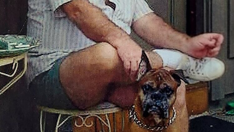 Davis Schroyer Anderson